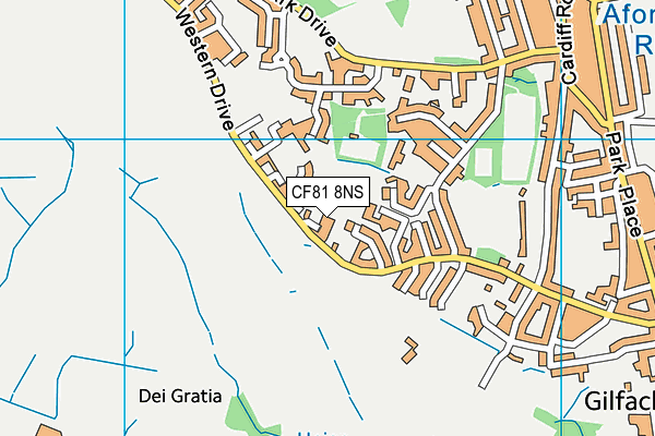 CF81 8NS map - OS VectorMap District (Ordnance Survey)