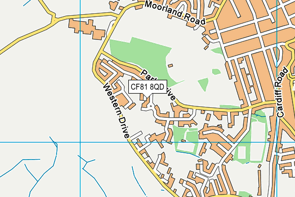 CF81 8QD map - OS VectorMap District (Ordnance Survey)