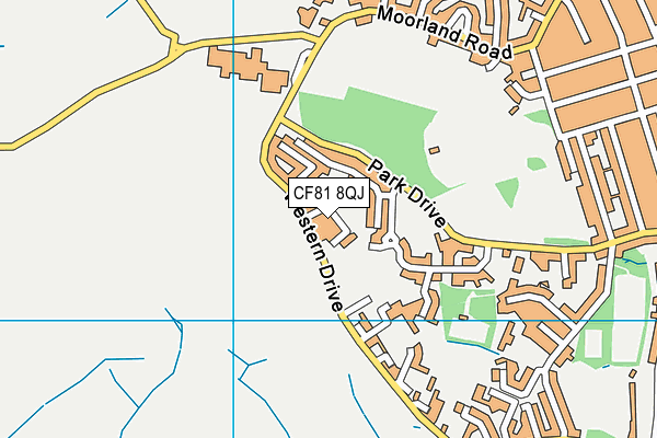 CF81 8QJ map - OS VectorMap District (Ordnance Survey)