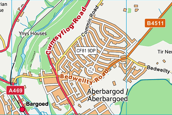 CF81 9DP map - OS VectorMap District (Ordnance Survey)