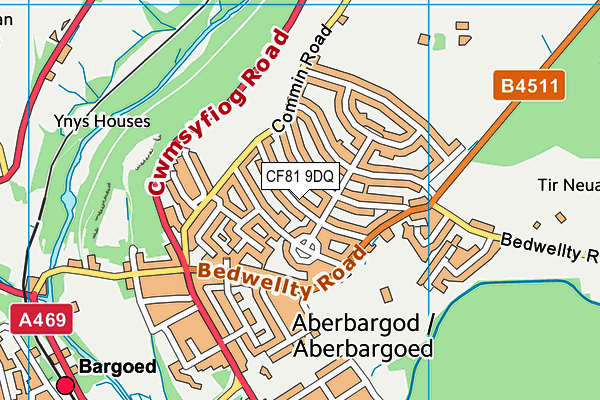 CF81 9DQ map - OS VectorMap District (Ordnance Survey)