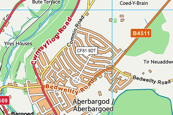 CF81 9DT map - OS VectorMap District (Ordnance Survey)