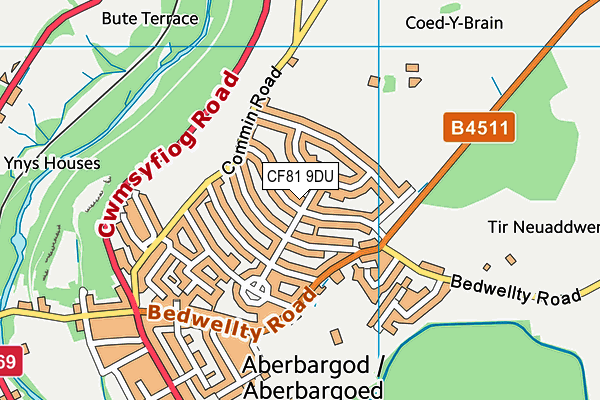 CF81 9DU map - OS VectorMap District (Ordnance Survey)