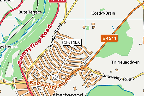 CF81 9DX map - OS VectorMap District (Ordnance Survey)