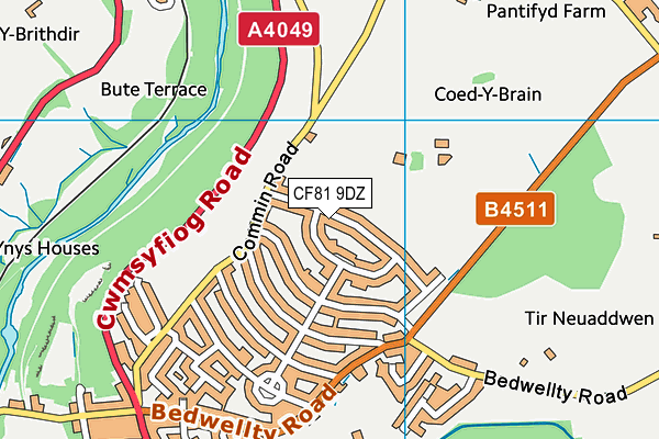 CF81 9DZ map - OS VectorMap District (Ordnance Survey)