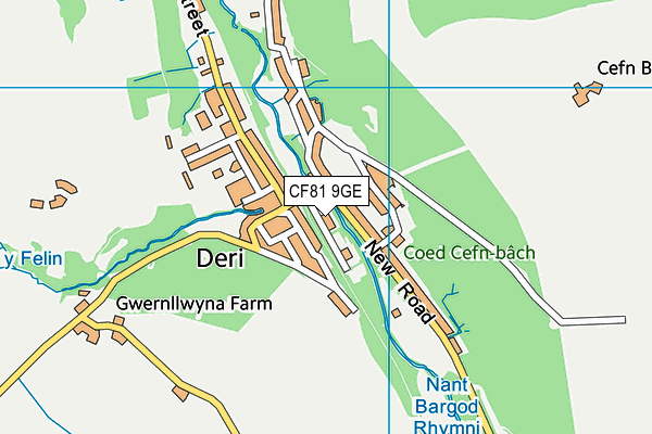 CF81 9GE map - OS VectorMap District (Ordnance Survey)