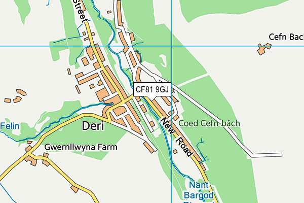 CF81 9GJ map - OS VectorMap District (Ordnance Survey)