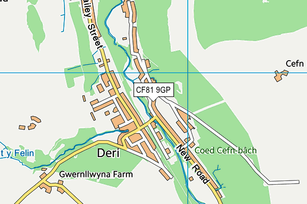 CF81 9GP map - OS VectorMap District (Ordnance Survey)