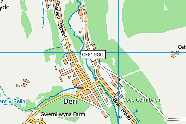 CF81 9GQ map - OS VectorMap District (Ordnance Survey)