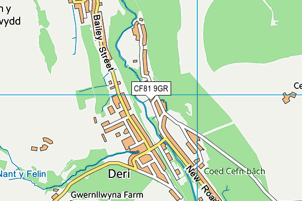 CF81 9GR map - OS VectorMap District (Ordnance Survey)