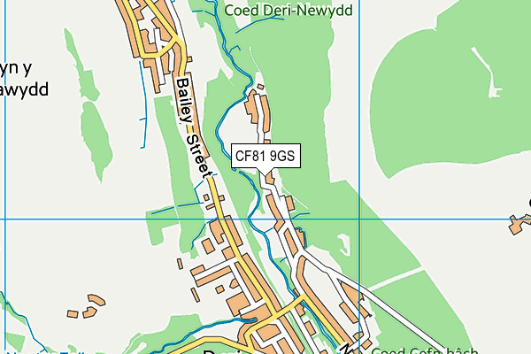 CF81 9GS map - OS VectorMap District (Ordnance Survey)
