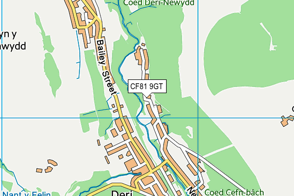 CF81 9GT map - OS VectorMap District (Ordnance Survey)