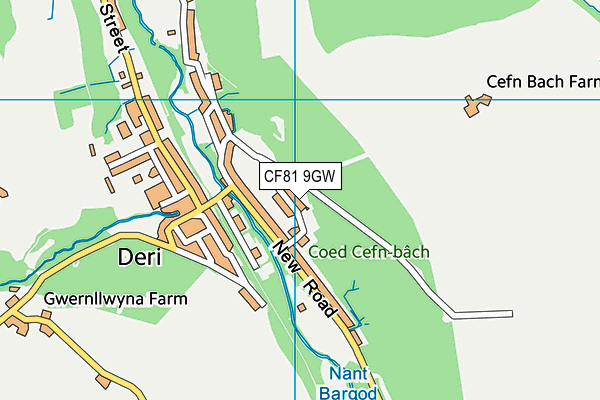 CF81 9GW map - OS VectorMap District (Ordnance Survey)