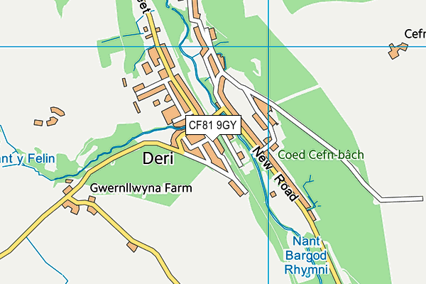 CF81 9GY map - OS VectorMap District (Ordnance Survey)