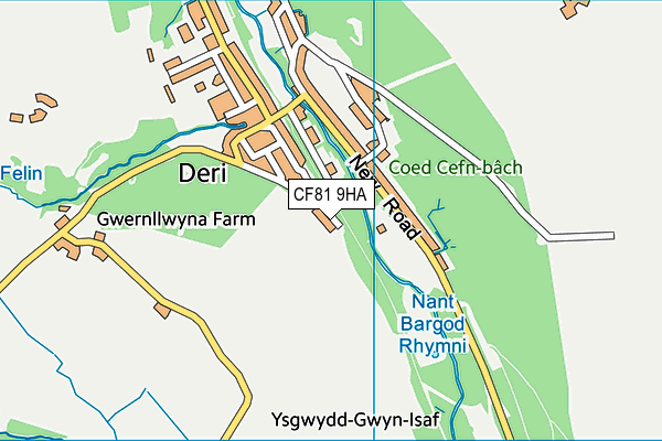 CF81 9HA map - OS VectorMap District (Ordnance Survey)