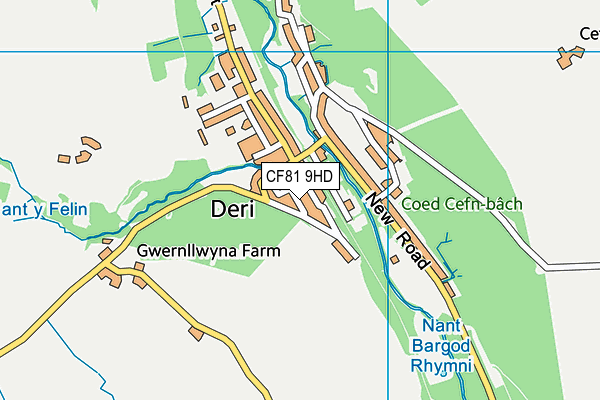 CF81 9HD map - OS VectorMap District (Ordnance Survey)