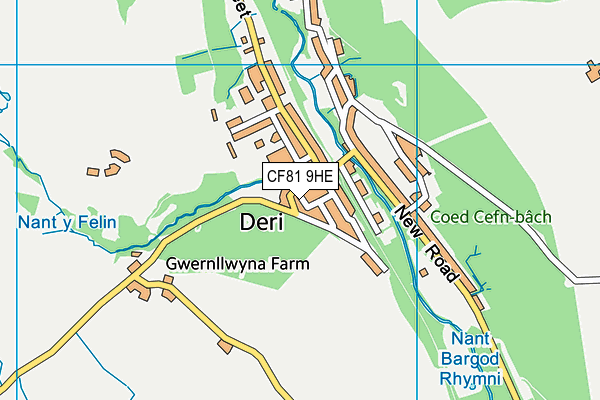 CF81 9HE map - OS VectorMap District (Ordnance Survey)