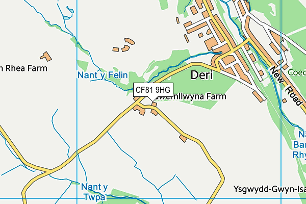 CF81 9HG map - OS VectorMap District (Ordnance Survey)