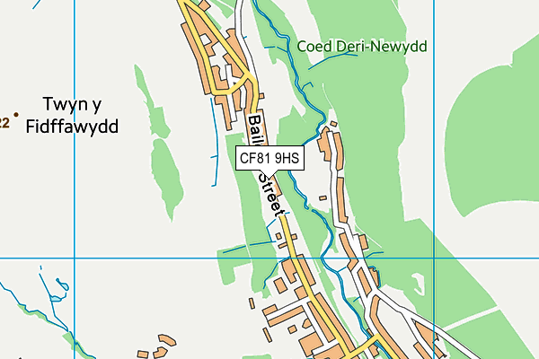 CF81 9HS map - OS VectorMap District (Ordnance Survey)