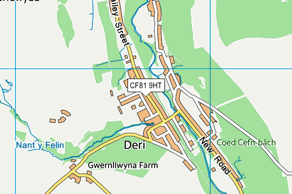 CF81 9HT map - OS VectorMap District (Ordnance Survey)