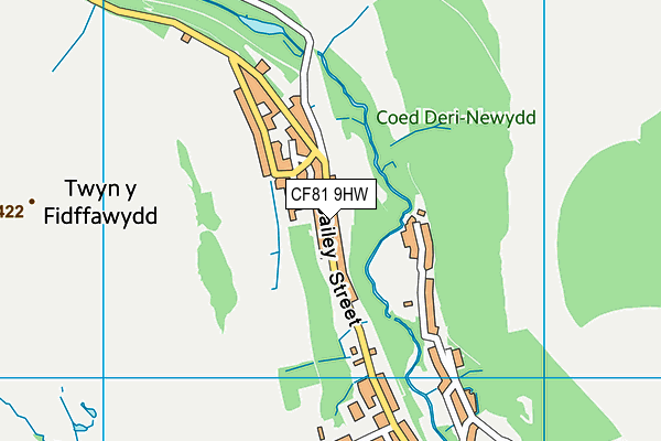 CF81 9HW map - OS VectorMap District (Ordnance Survey)