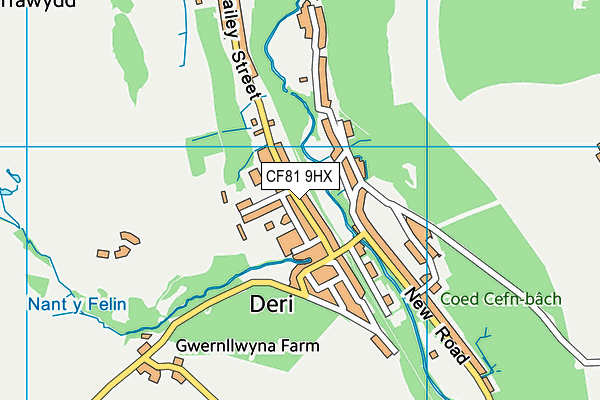 CF81 9HX map - OS VectorMap District (Ordnance Survey)