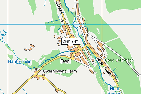 CF81 9HY map - OS VectorMap District (Ordnance Survey)
