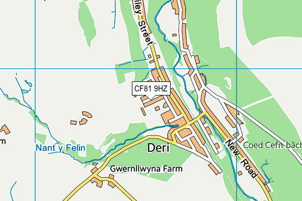 Deri Primary School map (CF81 9HZ) - OS VectorMap District (Ordnance Survey)