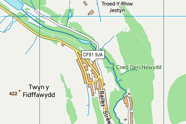 CF81 9JA map - OS VectorMap District (Ordnance Survey)
