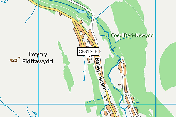 CF81 9JF map - OS VectorMap District (Ordnance Survey)