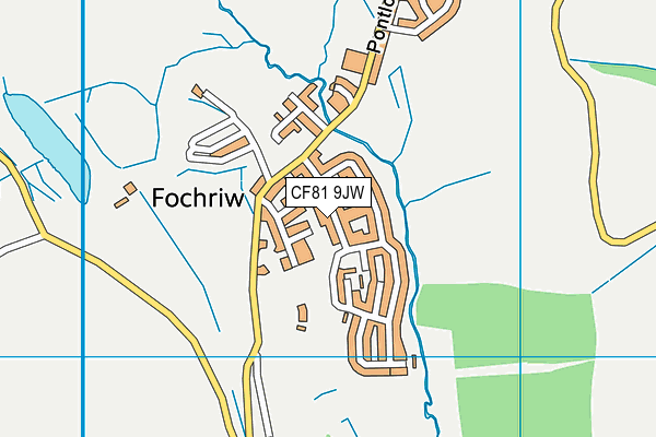 CF81 9JW map - OS VectorMap District (Ordnance Survey)