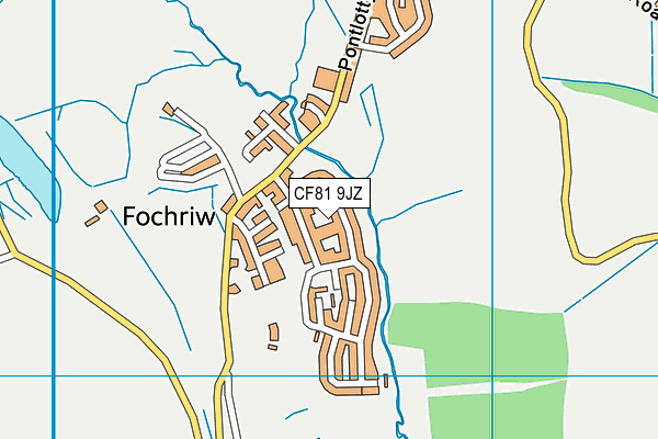 CF81 9JZ map - OS VectorMap District (Ordnance Survey)