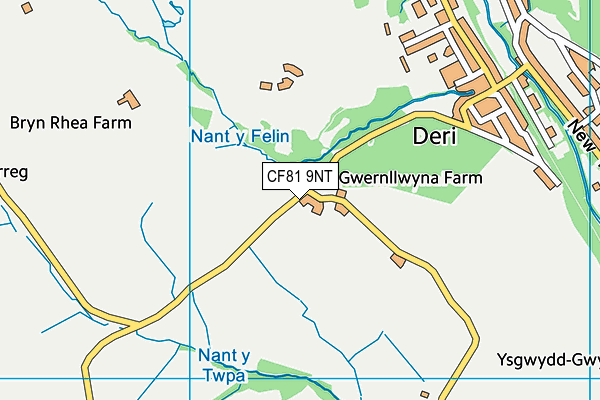 CF81 9NT map - OS VectorMap District (Ordnance Survey)