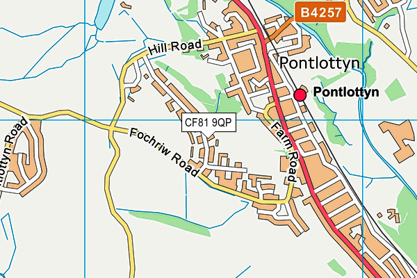 CF81 9QP map - OS VectorMap District (Ordnance Survey)