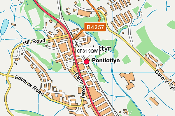 CF81 9QW map - OS VectorMap District (Ordnance Survey)