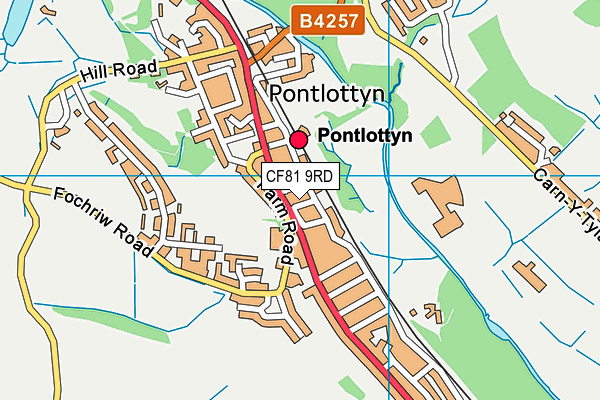 CF81 9RD map - OS VectorMap District (Ordnance Survey)