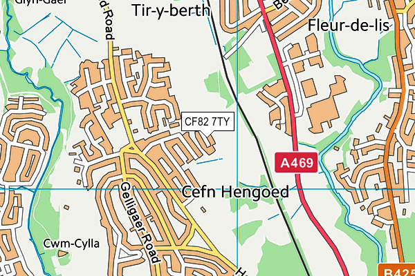 CF82 7TY map - OS VectorMap District (Ordnance Survey)