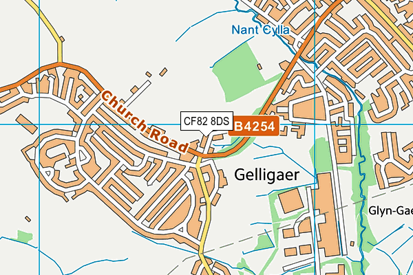 CF82 8DS map - OS VectorMap District (Ordnance Survey)