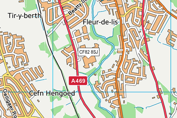 CF82 8SJ map - OS VectorMap District (Ordnance Survey)