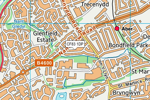 CF83 1DP map - OS VectorMap District (Ordnance Survey)