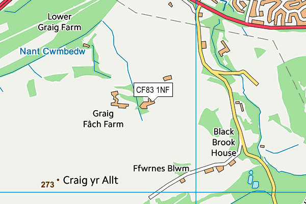 CF83 1NF map - OS VectorMap District (Ordnance Survey)