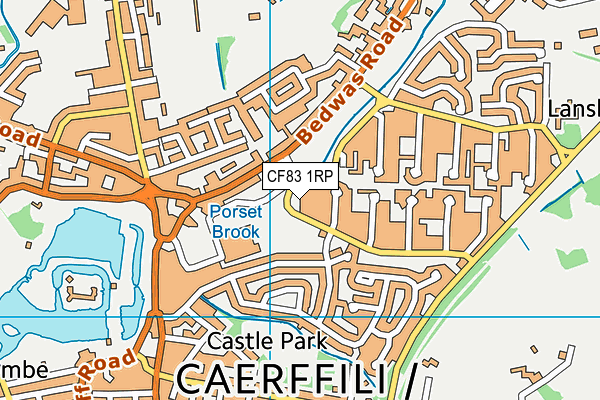 CF83 1RP map - OS VectorMap District (Ordnance Survey)