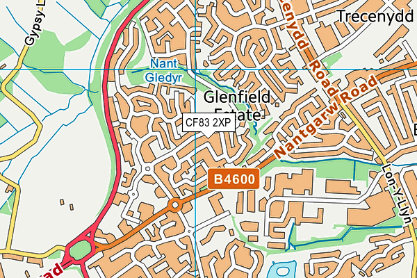 CF83 2XP map - OS VectorMap District (Ordnance Survey)