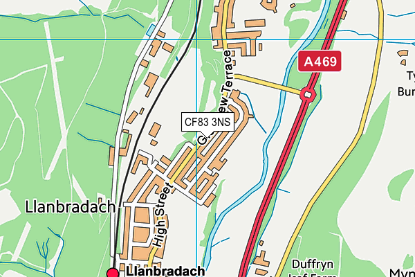 CF83 3NS map - OS VectorMap District (Ordnance Survey)