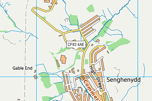 CF83 4AE map - OS VectorMap District (Ordnance Survey)