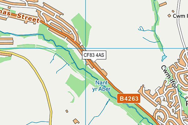 CF83 4AS map - OS VectorMap District (Ordnance Survey)