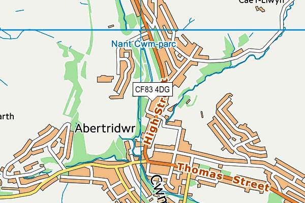 CF83 4DG map - OS VectorMap District (Ordnance Survey)