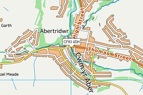 CF83 4DH map - OS VectorMap District (Ordnance Survey)