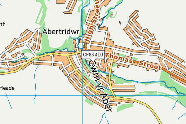 CF83 4DJ map - OS VectorMap District (Ordnance Survey)