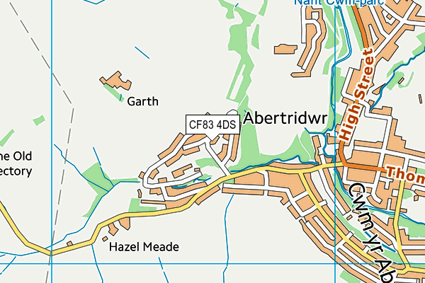 CF83 4DS map - OS VectorMap District (Ordnance Survey)